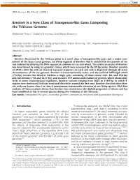 Revolver Is a New Class of Transposon-Like Gene Composing the Triticeae Genome