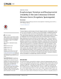 Ecophenotypic Variation and Developmental Instability in the Late Cretaceous Echinoid Micraster Brevis (Irregularia; Spatangoida)