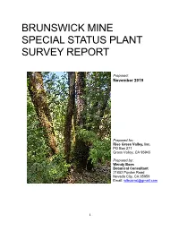 Special Status Plant Survey Report
