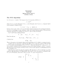The SVD Algorithm