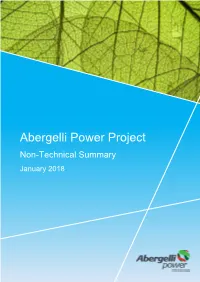 Abergelli Power Project Non-Technical Summary January 2018