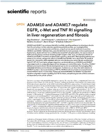 ADAM10 and ADAM17 Regulate EGFR, C-Met and TNF RI Signalling In