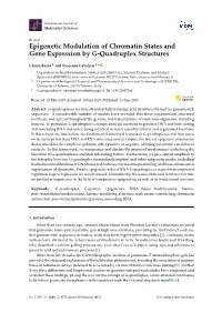 Epigenetic Modulation of Chromatin States and Gene Expression by G-Quadruplex Structures