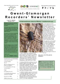 Gwent-Glamorgan Recorders' Newsletter Issue 13