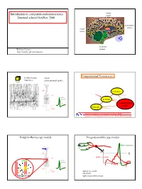 Neural Coding and Integrate-And-Fire Model