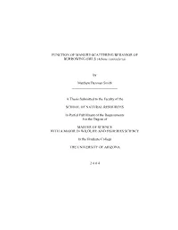 Smith, M.D. 2005. Function of Manure Scattering Behaviour in Burrowing