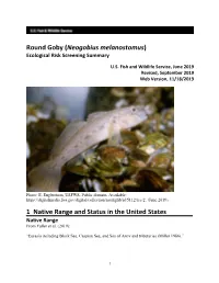 Neogobius Melanostomus (Round Goby) [Original Text by J