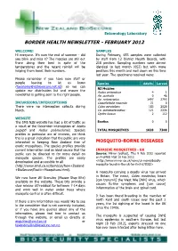NZB Newsletter