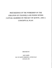 Proceedings of the Workshop on the Creation of Channels and Ponds Within Cattail Marshes on the Bay of Quinte, and a Conceptual Plan