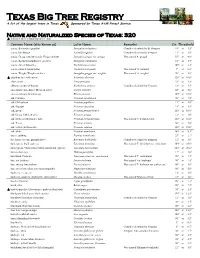 Texas Big Tree Registry a List of the Largest Trees in Texas Sponsored by Texas a & M Forest Service