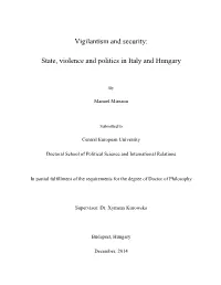 Vigilantism and Security