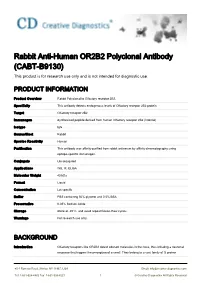 Rabbit Anti-Human OR2B2 Polyclonal Antibody (CABT-B9130) This Product Is for Research Use Only and Is Not Intended for Diagnostic Use