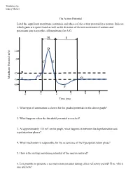 The Action Potential Label the Significant Membrane Potentials and Phases of the Action Potential in a Neuron