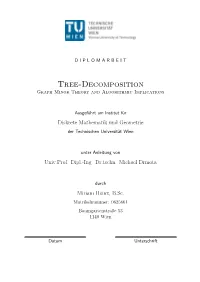 Tree-Decomposition Graph Minor Theory and Algorithmic Implications