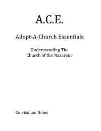 ACE Curriculum
