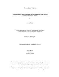 Diagenesis, Burial History, and Reservoir Characterization of the Scollard Sequence Sandstones in Alberta