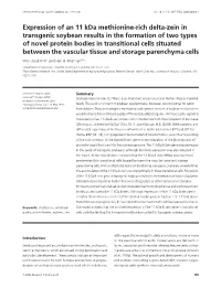 Expression of an 11 Kda Methionine-Rich Delta-Zein In