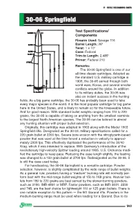 078.319 Rifle C