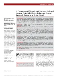 A Comparison of Mesenchymal Precursor Cells and Amnion Epithelial Cells for Enhancing Cervical Interbody Fusion in an Ovine Model