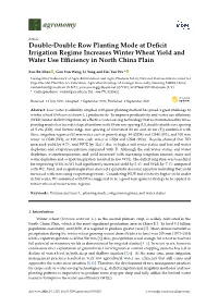 Double-Double Row Planting Mode at Deficit Irrigation Regime