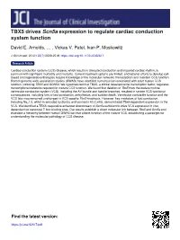 TBX5 Drives Scn5a Expression to Regulate Cardiac Conduction System Function