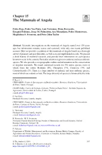 Chapter 15 the Mammals of Angola