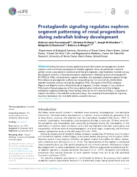 Prostaglandin Signaling Regulates Nephron Segment Patterning Of