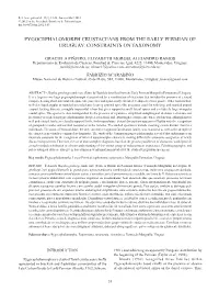 Pygocephalomorph Crustaceans from the Early Permian of Uruguay: Constraints on Taxonomy