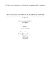 Concepts, Attention, and the Contents of Conscious Visual Experience
