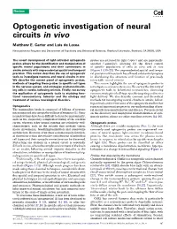 Optogenetic Investigation of Neural Circuits in Vivo