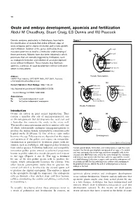 Ovule and Embryo Development, Apomixis and Fertilization Abdul M Chaudhury, Stuart Craig, ES Dennis and WJ Peacock