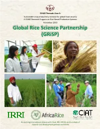 Global Rice Science Partnership (Grisp)