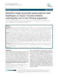 Identified Single-Nucleotide Polymorphisms and Haplotypes At