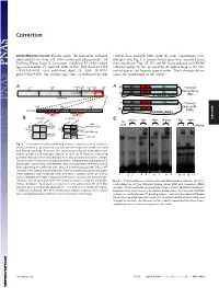 Requirement of Nanog Dimerization for Stem Cell Self-Renewal and Pluripotency