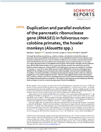 (RNASE1) in Folivorous Non- Colobine Primates, the Howler Monkeys (Alouatta Spp.) Mareike C