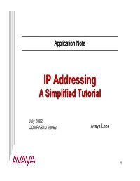 IP-Addressing-Tutorial.Pdf