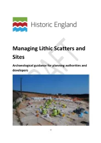 Managing Lithic Scatters and Sites