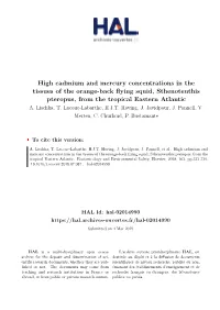 High Cadmium and Mercury Concentrations in the Tissues of the Orange-Back Flying Squid, Sthenoteuthis Pteropus, from the Tropical Eastern Atlantic A