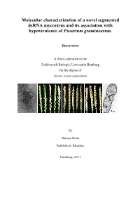 Molecular Characterization of a Novel Segmented Dsrna Mycovirus and Its Association with Hypovirulence of Fusarium Graminearum