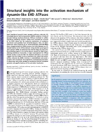 Structural Insights Into the Activation Mechanism of Dynamin-Like EHD Atpases