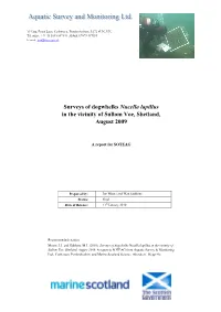 Surveys of Dogwhelks Nucella Lapillus in the Vicinity of Sullom Voe, Shetland, August 2009