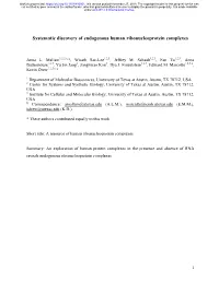 Systematic Discovery of Endogenous Human Ribonucleoprotein Complexes