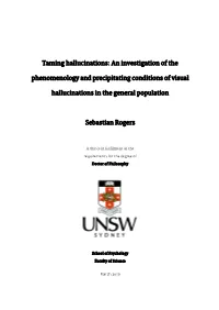 Taming Hallucinations: an Investigation of the Phenomenology and Precipitating Conditions of Visual