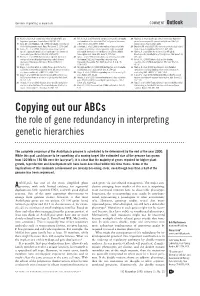 Copying out Our Abcs the Role of Gene Redundancy in Interpreting Genetic Hierarchies