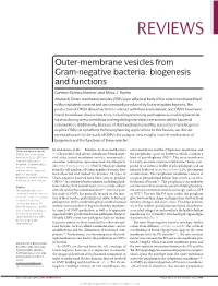 Outer-Membrane Vesicles from Gram-Negative Bacteria: Biogenesis and Functions