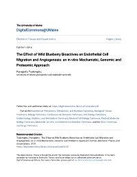 The Effect of Wild Blueberry Bioactives on Endothelial Cell Migration and Angiogenesis: an in Vitro Mechanistic, Genomic and Proteomic Approach