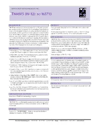 TM4SF5 (W-12): Sc-165713