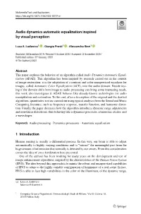 Audio Dynamics Automatic Equalization Inspired by Visual Perception