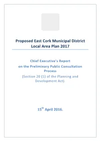 Chief Executive's Report on the Preliminary Public Consu
