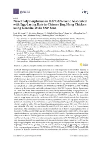 Novel Polymorphisms in RAPGEF6 Gene Associated with Egg-Laying Rate in Chinese Jing Hong Chicken Using Genome-Wide SNP Scan